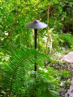 An outdoor light fixture amidst shrubbery and plants